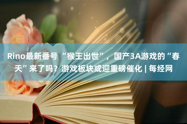 Rino最新番号 “猴王出世”，国产3A游戏的“春天”来了吗？游戏板块或迎重磅催化 | 每经网