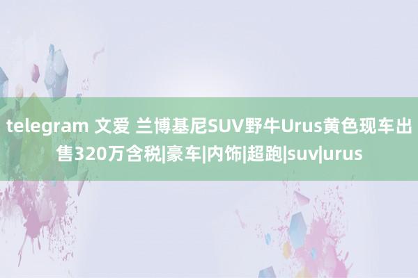 telegram 文爱 兰博基尼SUV野牛Urus黄色现车出售320万含税|豪车|内饰|超跑|suv|urus