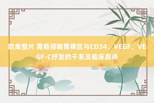 欧美整片 胃癌侵略胃裸区与CD34、VEGF、VEGF-C抒发的干系及临床真谛