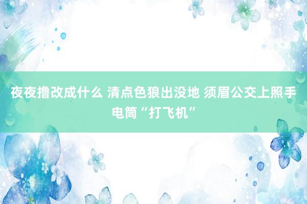 夜夜撸改成什么 清点色狼出没地 须眉公交上照手电筒“打飞机”