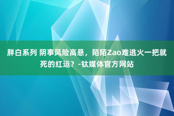 胖白系列 阴事风险高悬，陌陌Zao难逃火一把就死的红运？-钛媒体官方网站