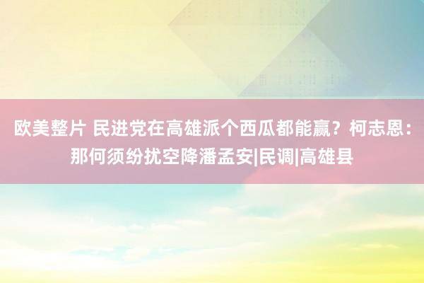 欧美整片 民进党在高雄派个西瓜都能赢？柯志恩：那何须纷扰空降潘孟安|民调|高雄县