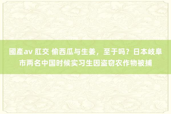 國產av 肛交 偷西瓜与生姜，至于吗？日本岐阜市两名中国时候实习生因盗窃农作物被捕